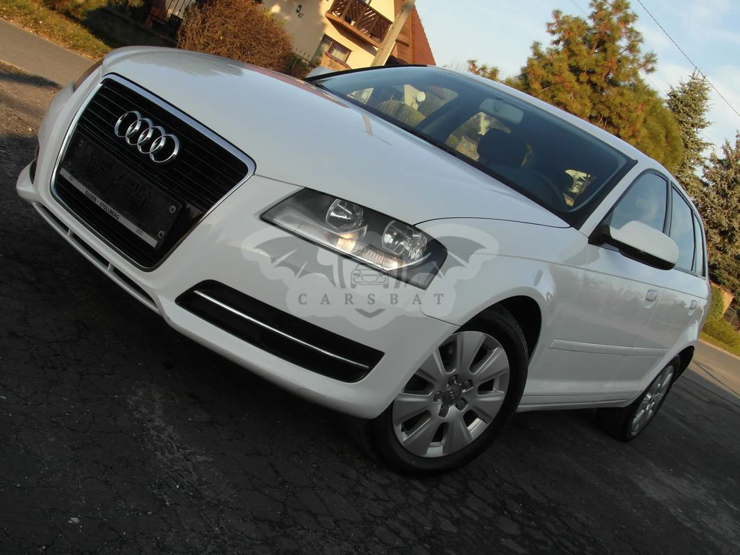 Audi A3 8P 1.6 Sportback Ambition 2010