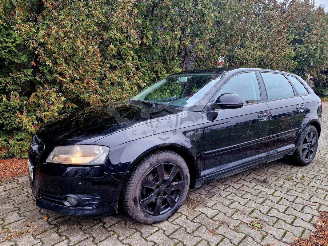 Audi A3 8P 2.0 TDI Sportback DSG Ambition 2009