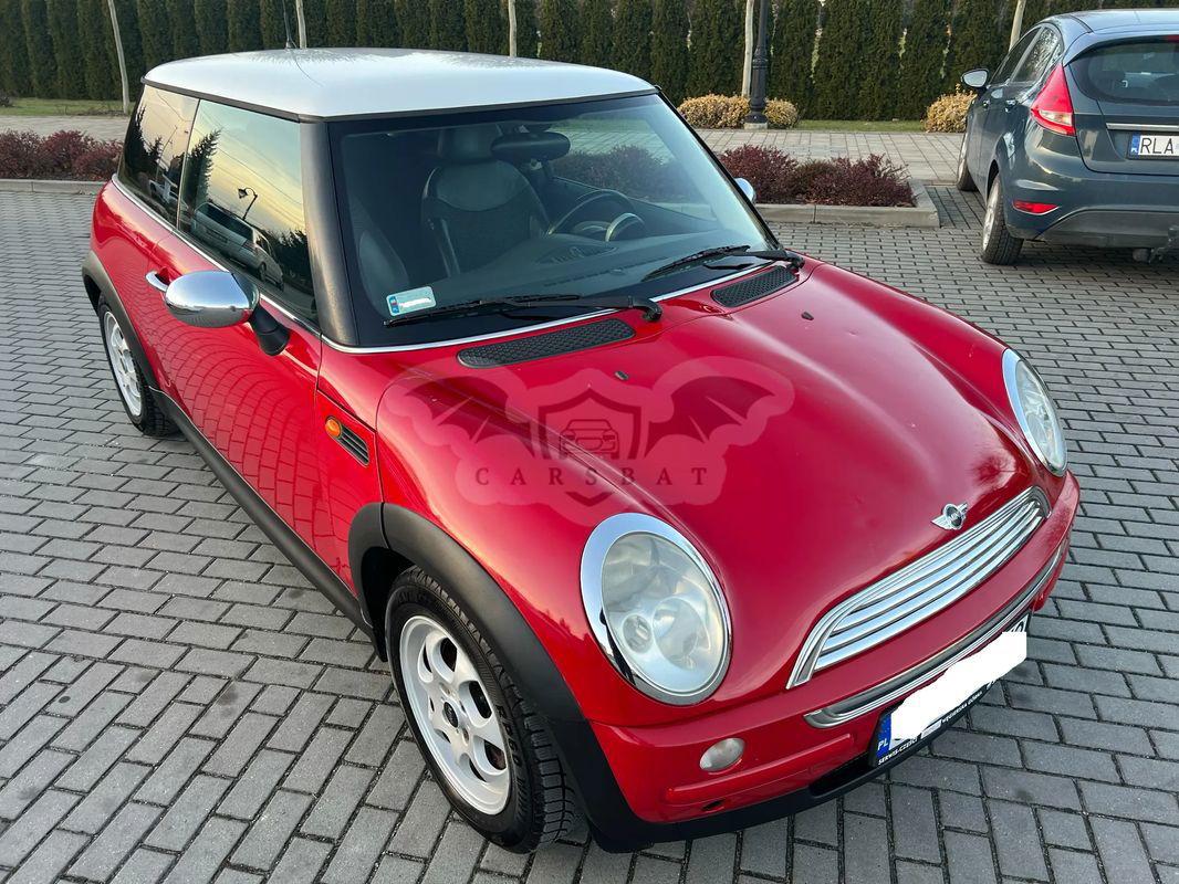 Mini One D salt 2004