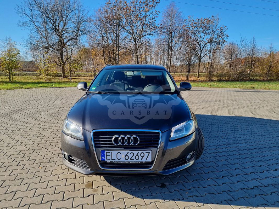 Audi A3 8P 2010