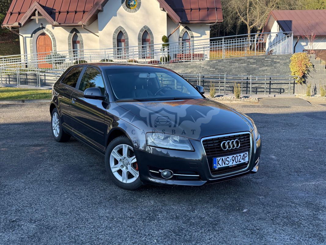 Audi A3 8P 1.6 TDI DPF Attraction 2010