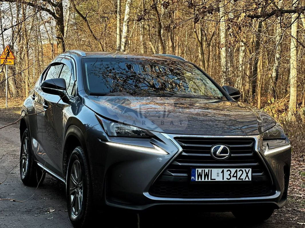 Lexus NX I 2014