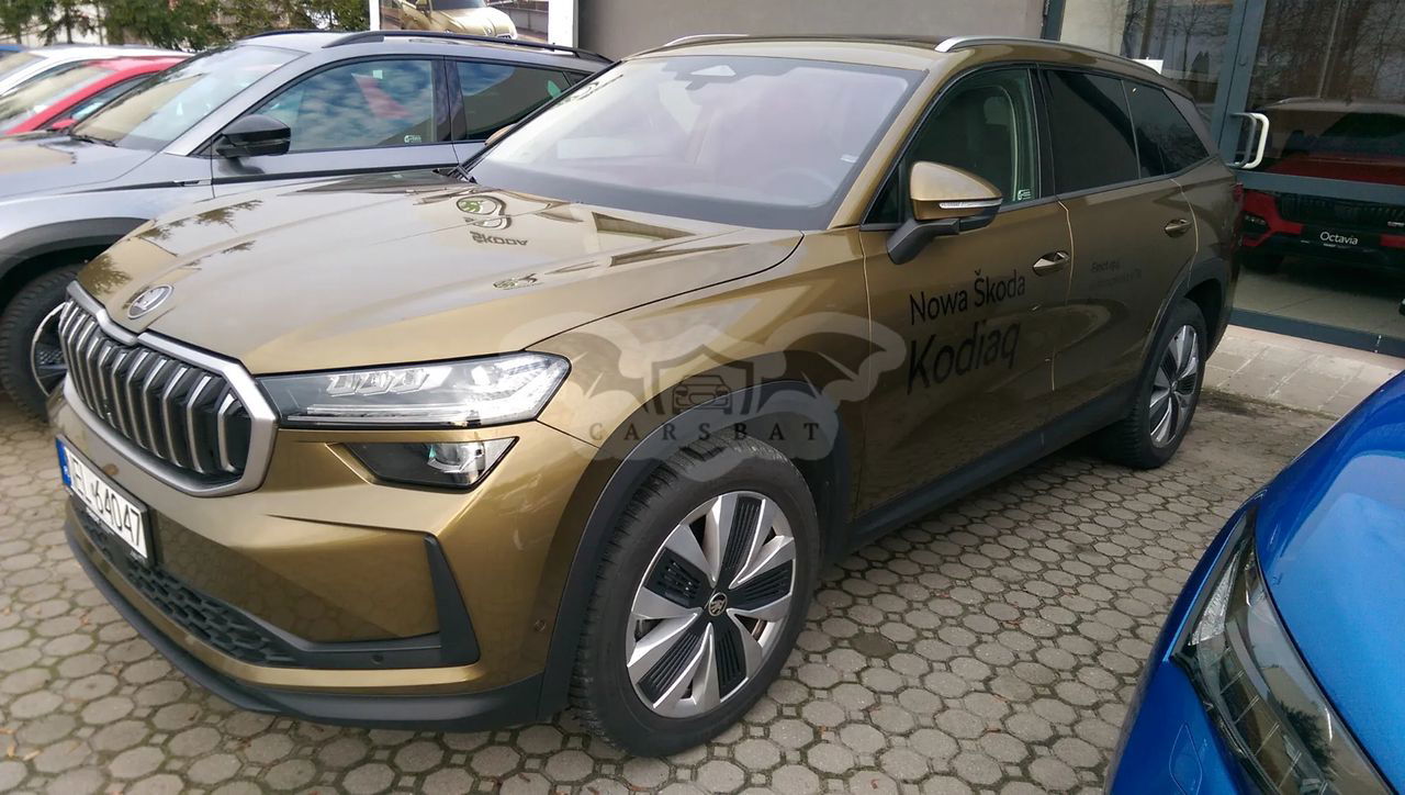 Skoda Kodiaq II 2.0 TDI 4x4 Selection DSG 2024
