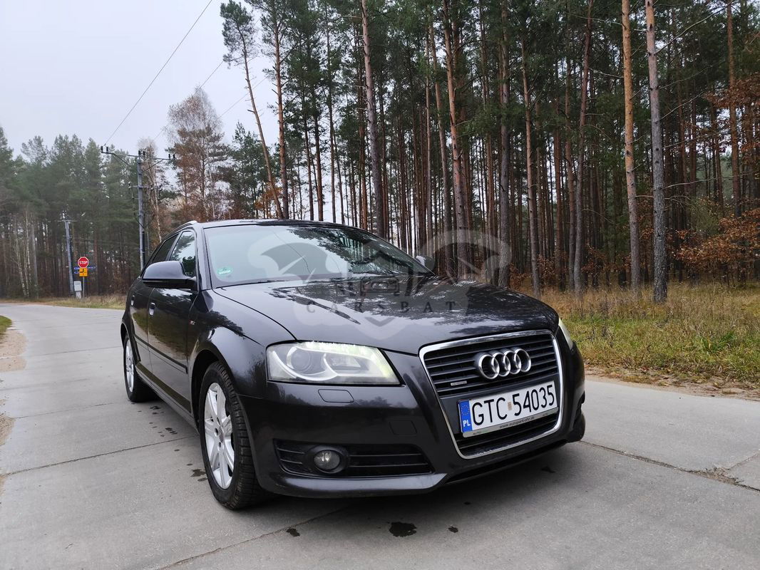 Audi A3 8P 2.0 TDI DPF Prime Line 2009