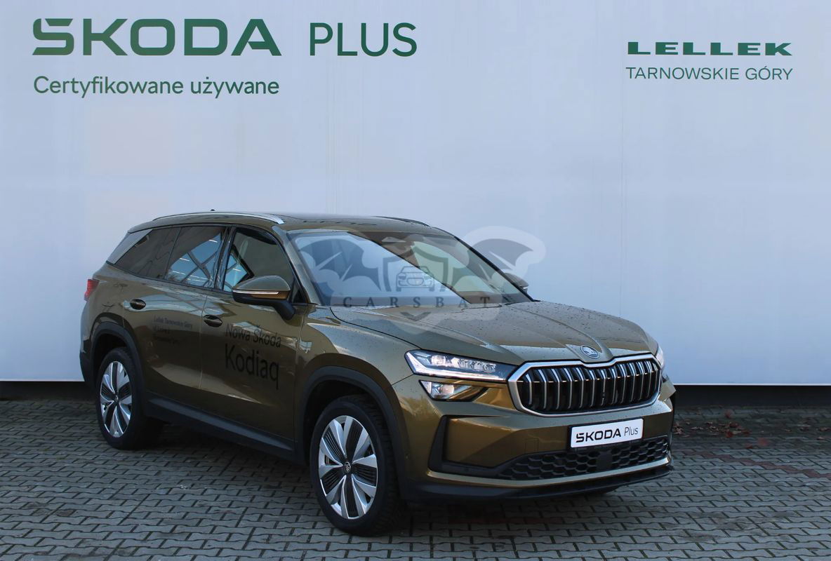Skoda Kodiaq II 2.0 TDI 4x4 Selection DSG 2024