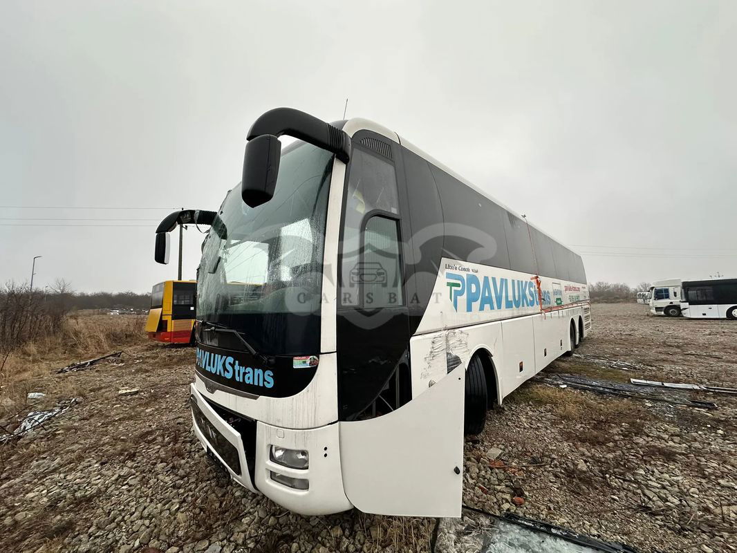MAN Lion's Coach 2016