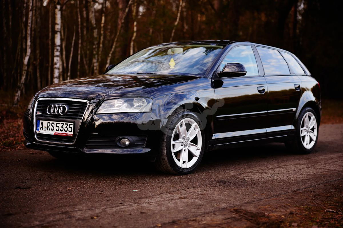 Audi A3 8P 2.0 TDI DPF Quattro Attraction 2009