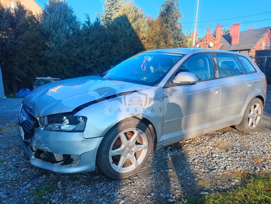 Audi A3 8P 1.9 TDI Ambiente 2009