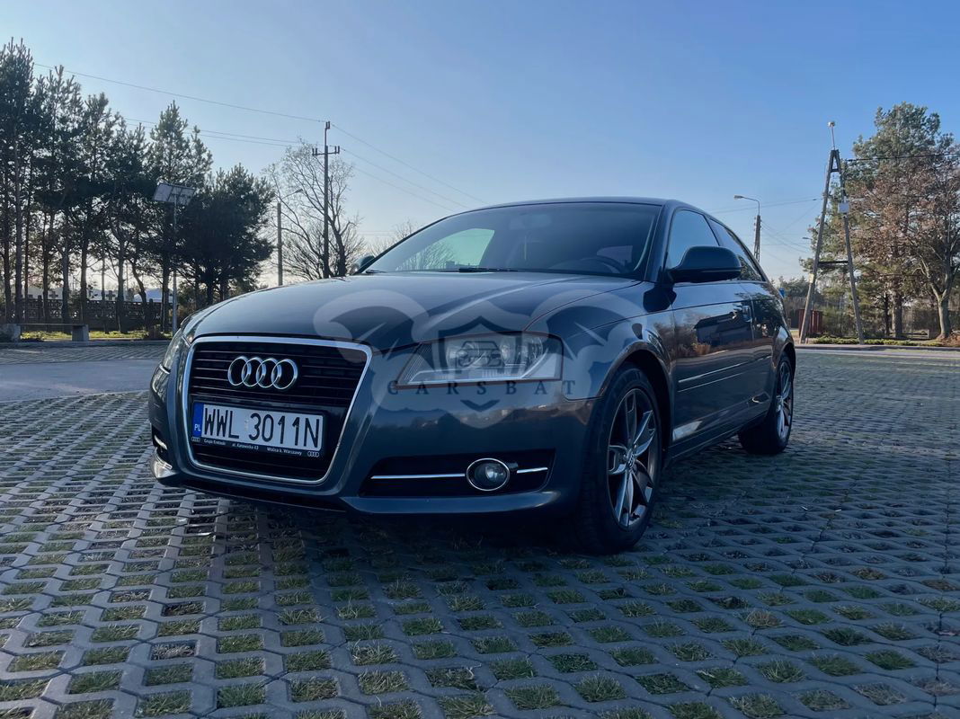 Audi A3 8P 1.9 TDI DPF Ambition 2009