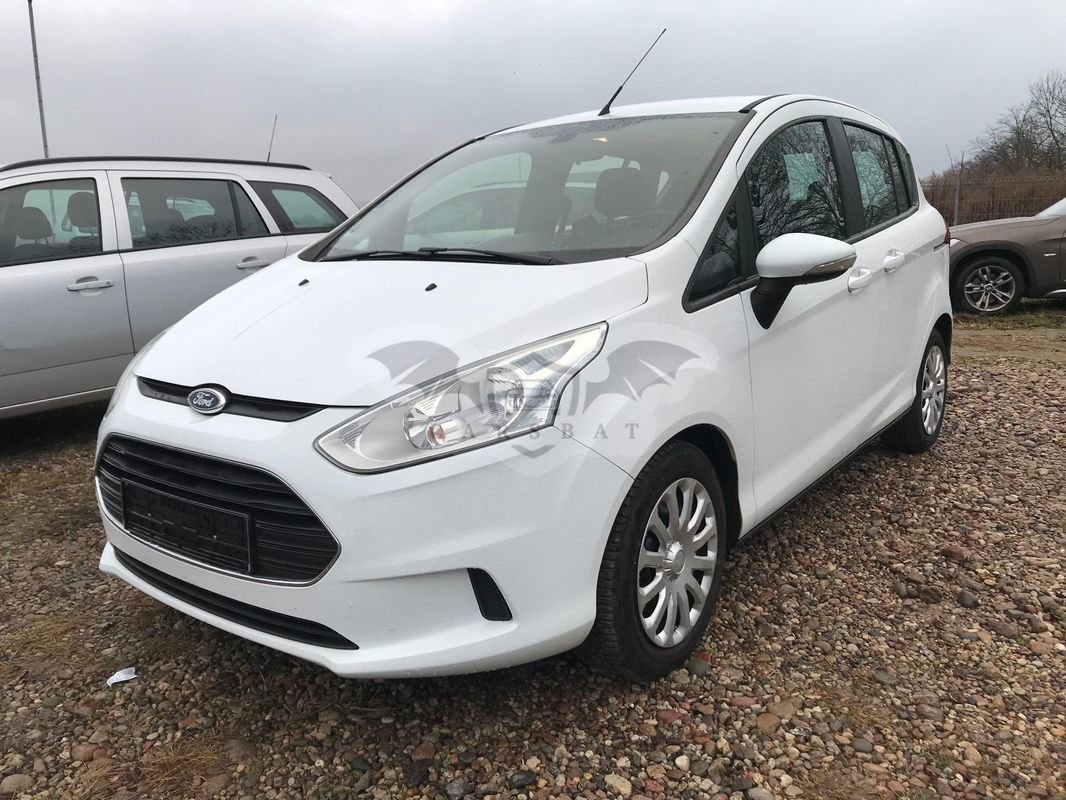 Ford B-Max 1.0 EcoBoost Ambiente 2013