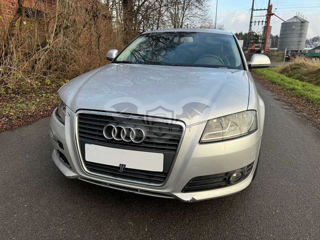 Audi A3 8P 2009