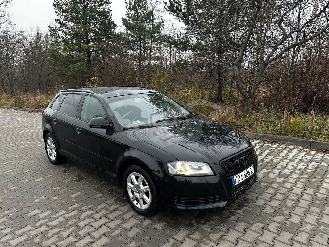 Audi A3 8P 2.0 TDI DPF Ambiente 2010