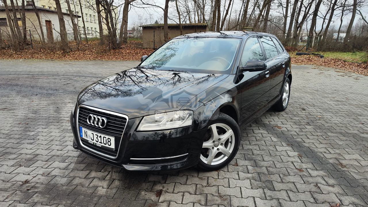 Audi A3 8P 1.6 Attraction 2010