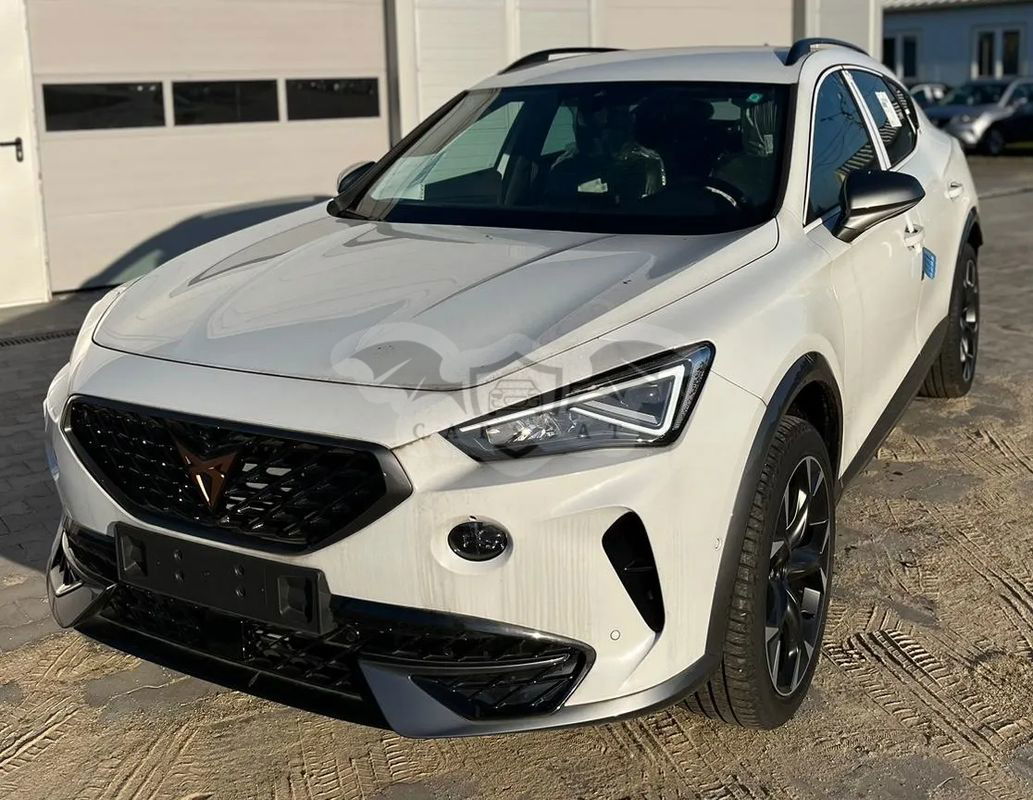 Cupra Formentor 2.0 TSI 4Drive DSG 2023