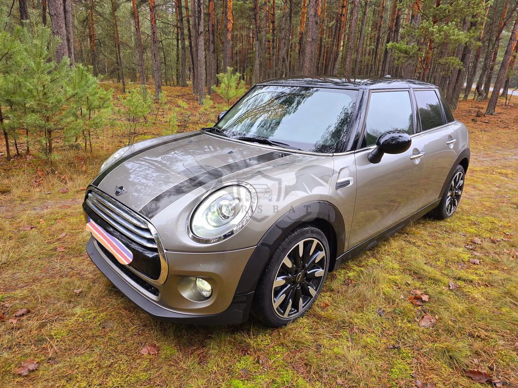 Mini Cooper D 60 Years Chili 2016