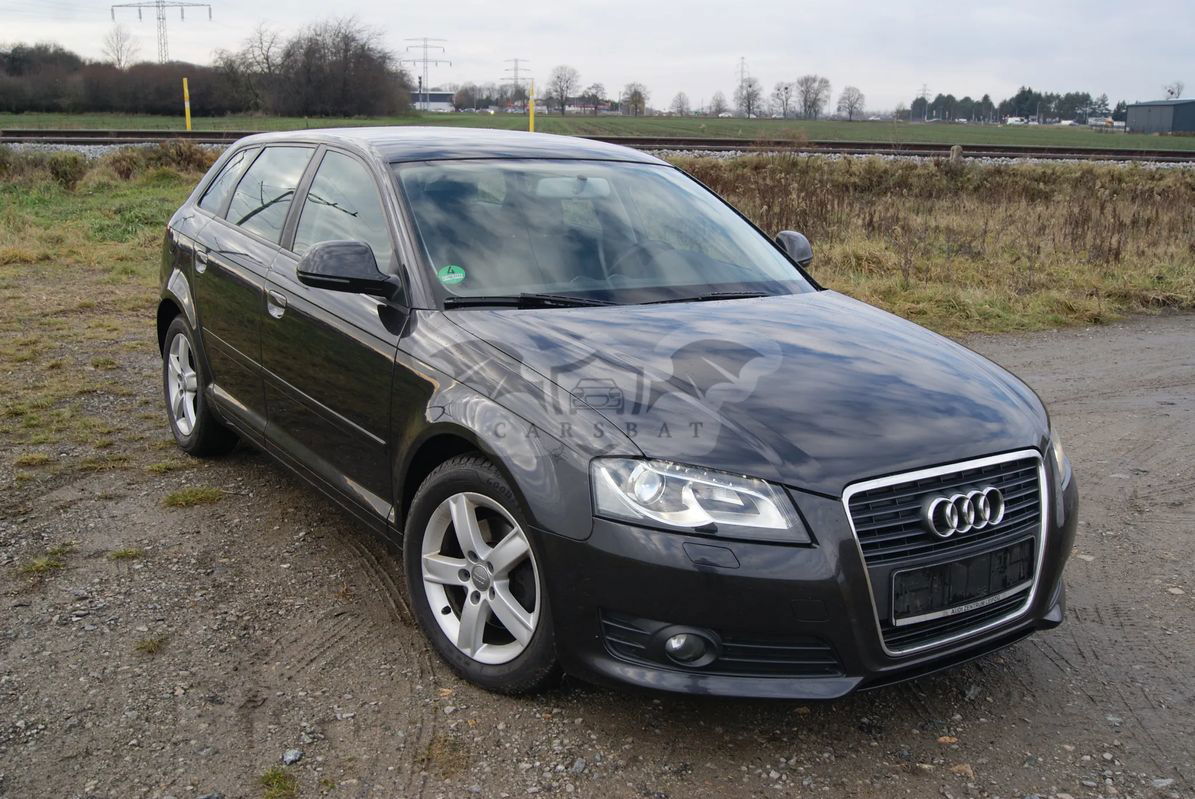 Audi A3 8P 2009