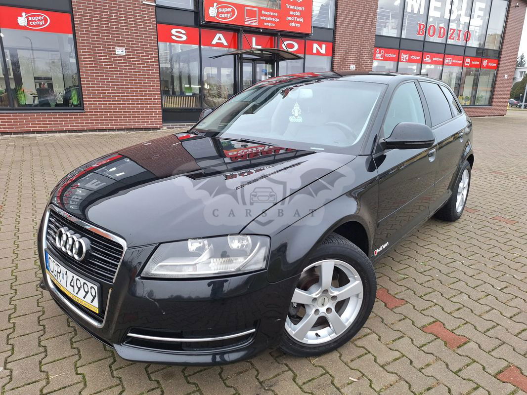 Audi A3 8P 2.0 TDI DPF Ambition 2010