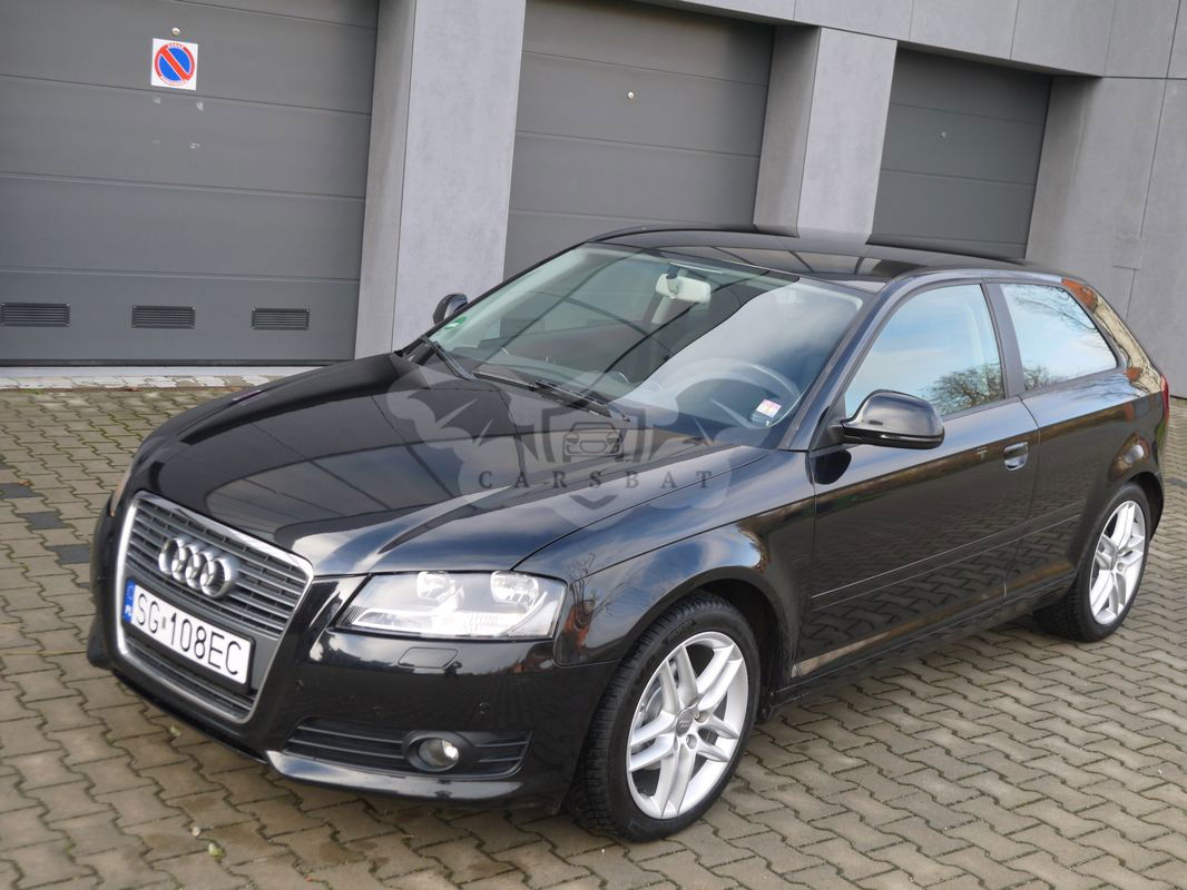 Audi A3 8P 1.6 Ambition 2010