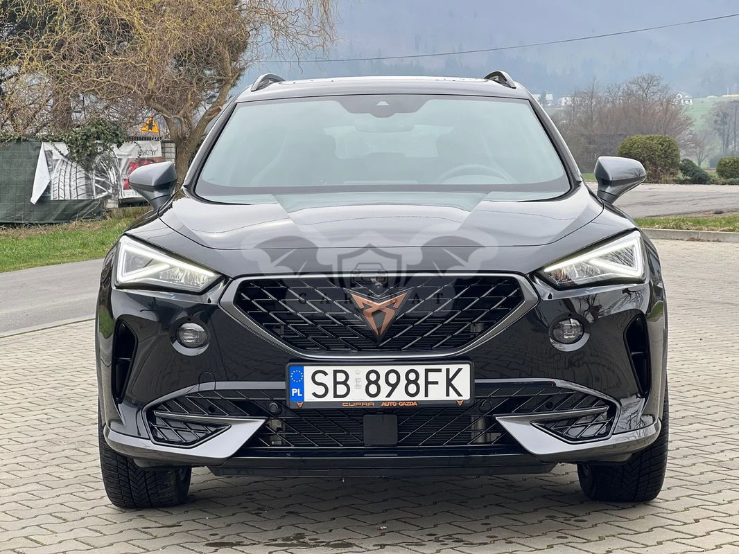 Cupra Formentor 2.0 TSI 4Drive DSG 2023