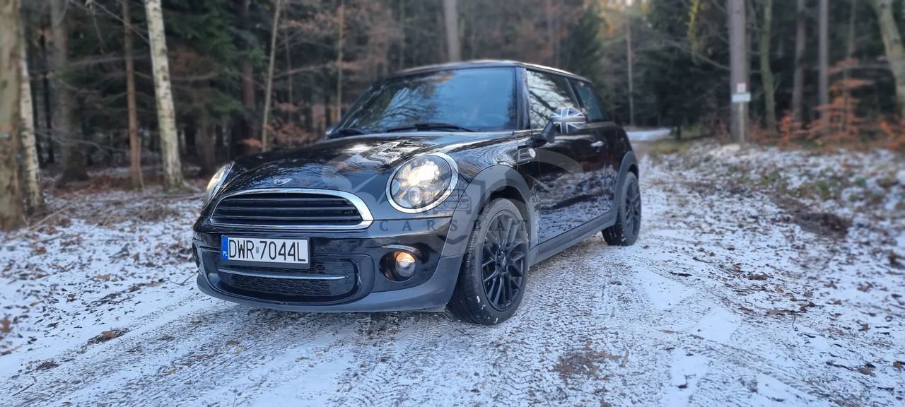 Mini One D 2013