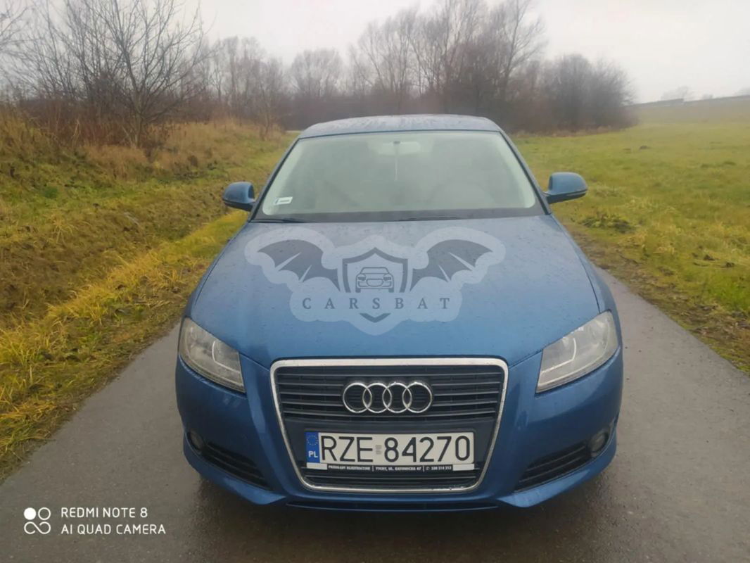 Audi A3 8P 1.9 TDI Ambiente 2009