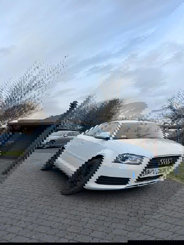 Audi A3 8P 1.6 Ambiente 2009
