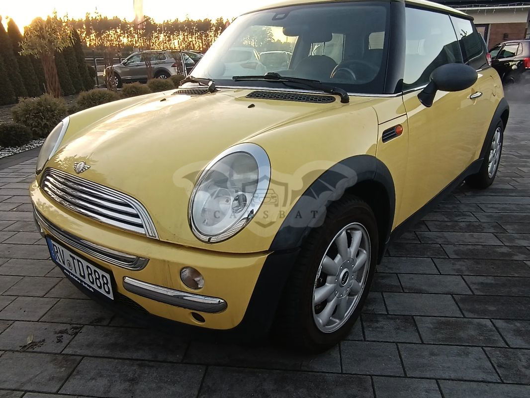 Mini Cooper pepper 2003