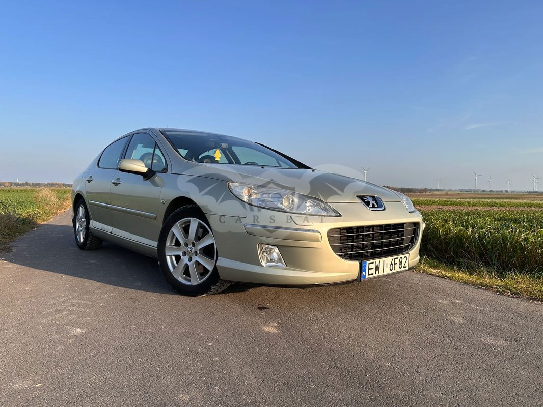 Peugeot 407 2007