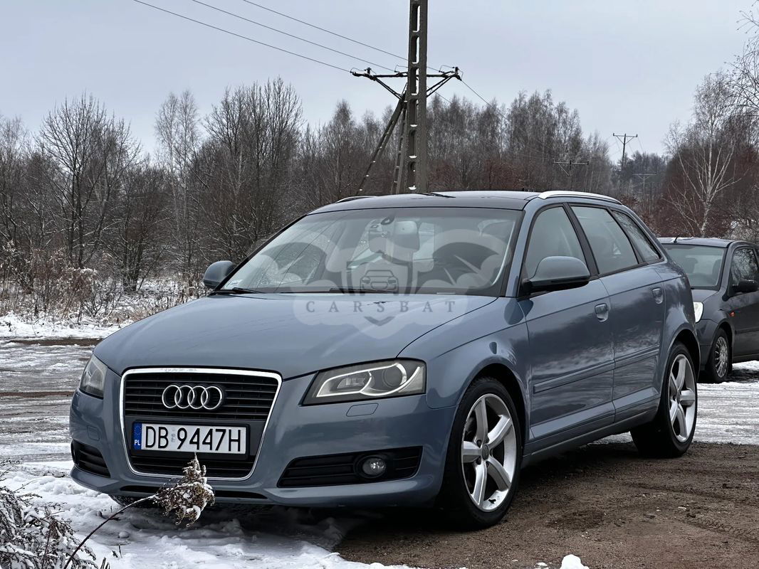 Audi A3 8P 2.0 TDI DPF Ambiente 2010