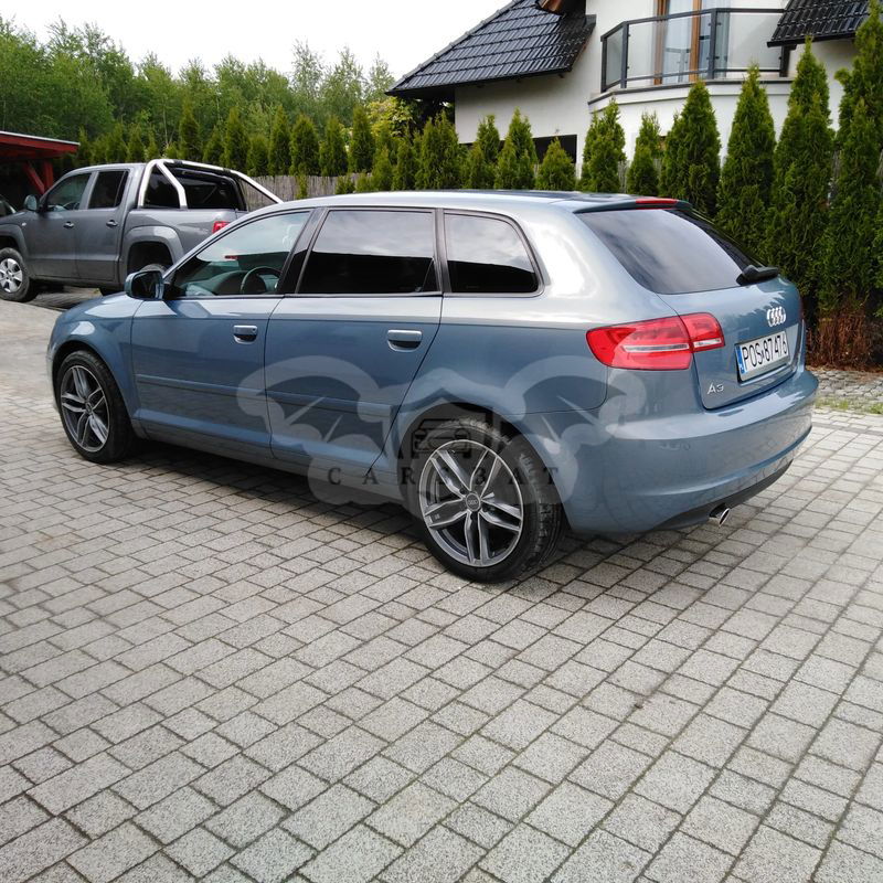 Audi A3 8P 1.6 TDI DPF Ambiente S tronic 2010