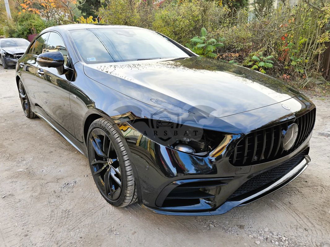 Mercedes-Benz CLS C257 AMG 53 4Matic AMG Speedshift 9G-TRONIC Edition 1 2019