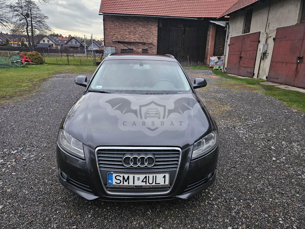 Audi A3 8P 2.0 TDI Sportback DPF (DSG) S tronic Ambition 2010
