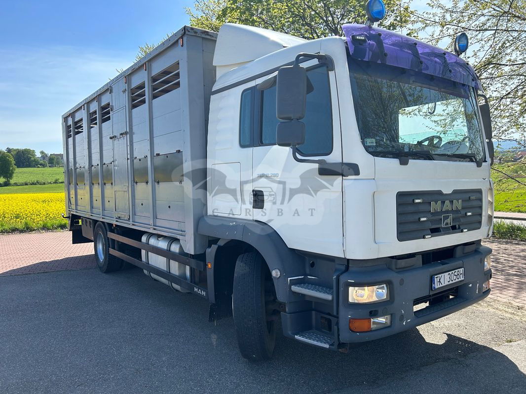 MAN TGX 2006