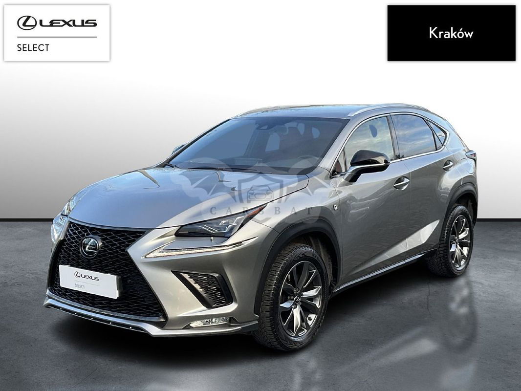 Lexus NX I 2020