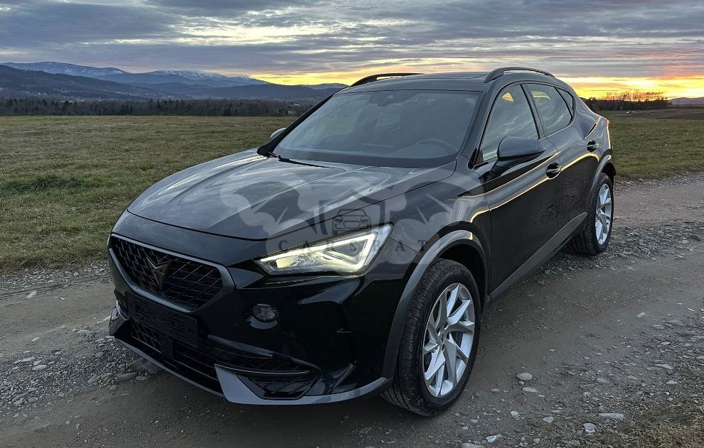 Cupra Formentor 2.0 TSI 4Drive DSG 2023