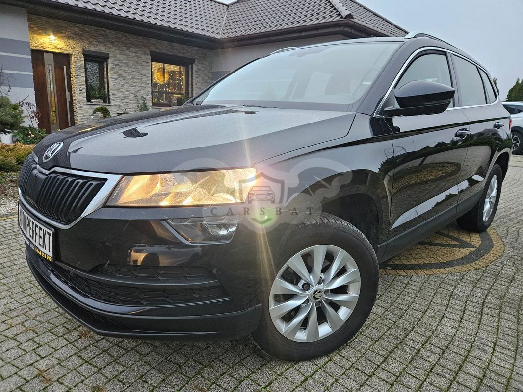 Skoda Karoq 1.6 TDI SCR 4x2 Ambition DSG 2019
