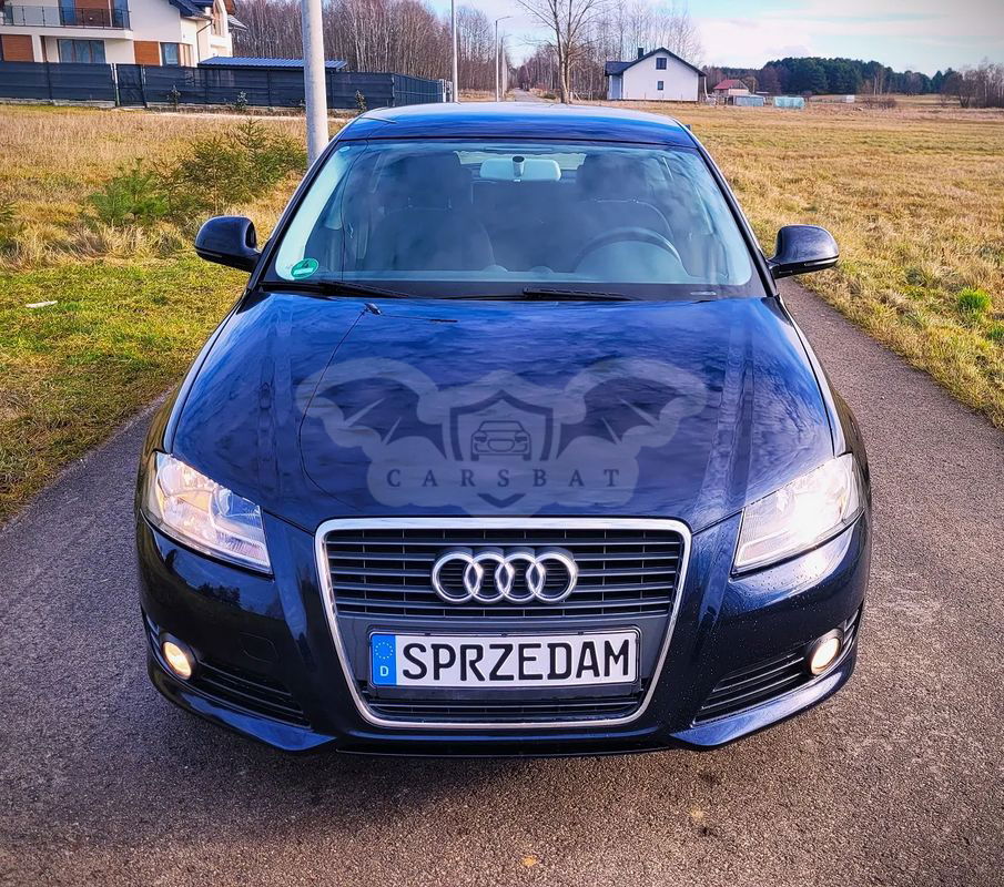 Audi A3 8P 1.6 Attraction 2010