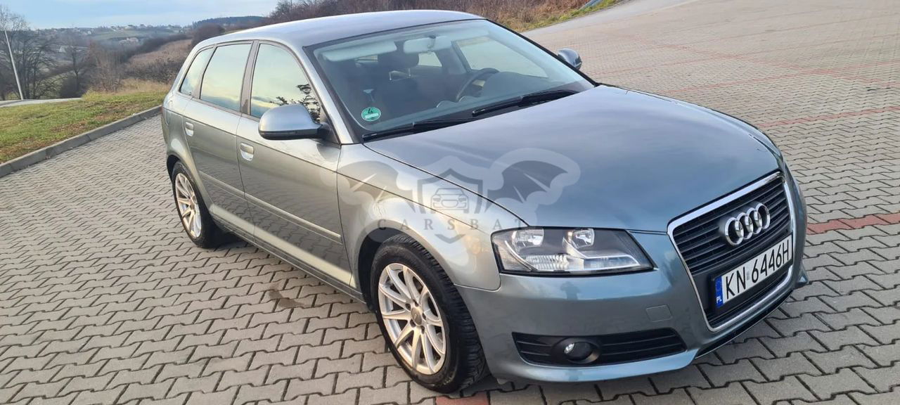 Audi A3 8P 1.9 TDI Ambition 2009