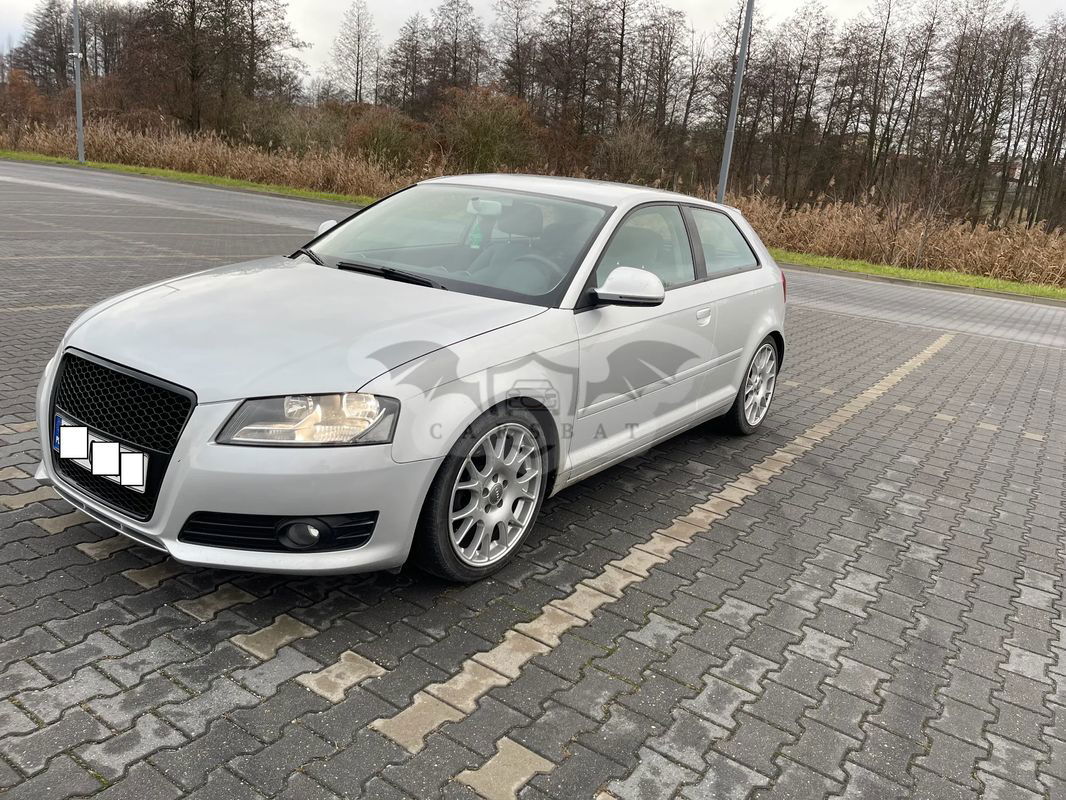 Audi A3 8P 1.6 Ambition 2009