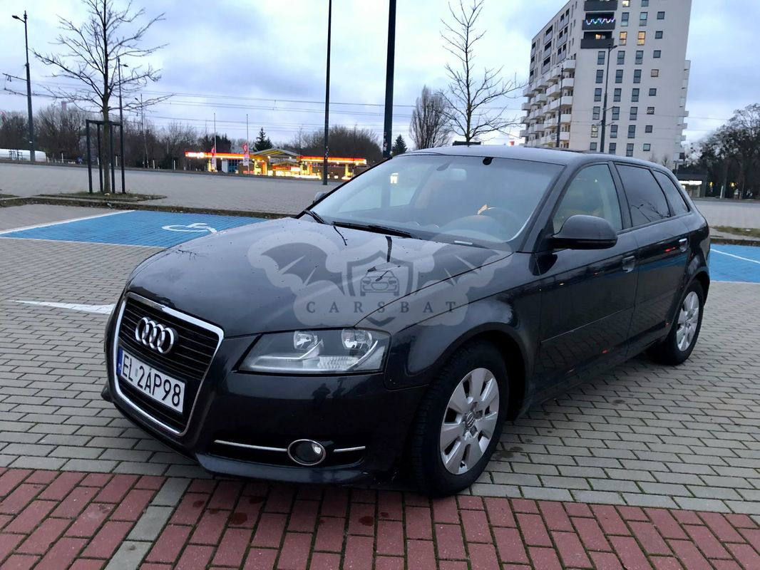 Audi A3 8P 1.6 TDI DPF Ambition 2010