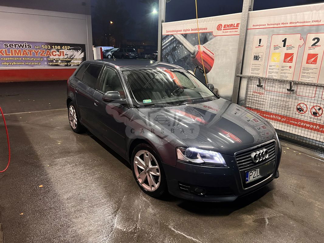 Audi A3 8P 2.0 TDI DPF Quattro Attraction 2009