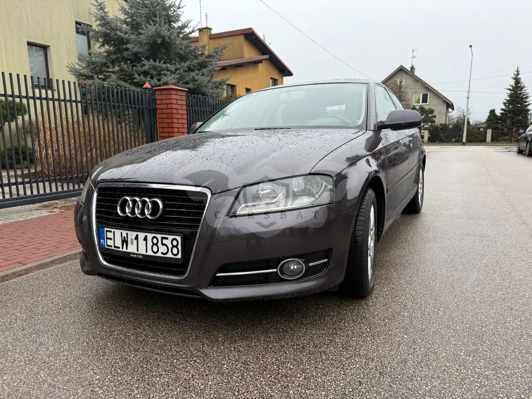Audi A3 8P 1.6 Attraction 2010