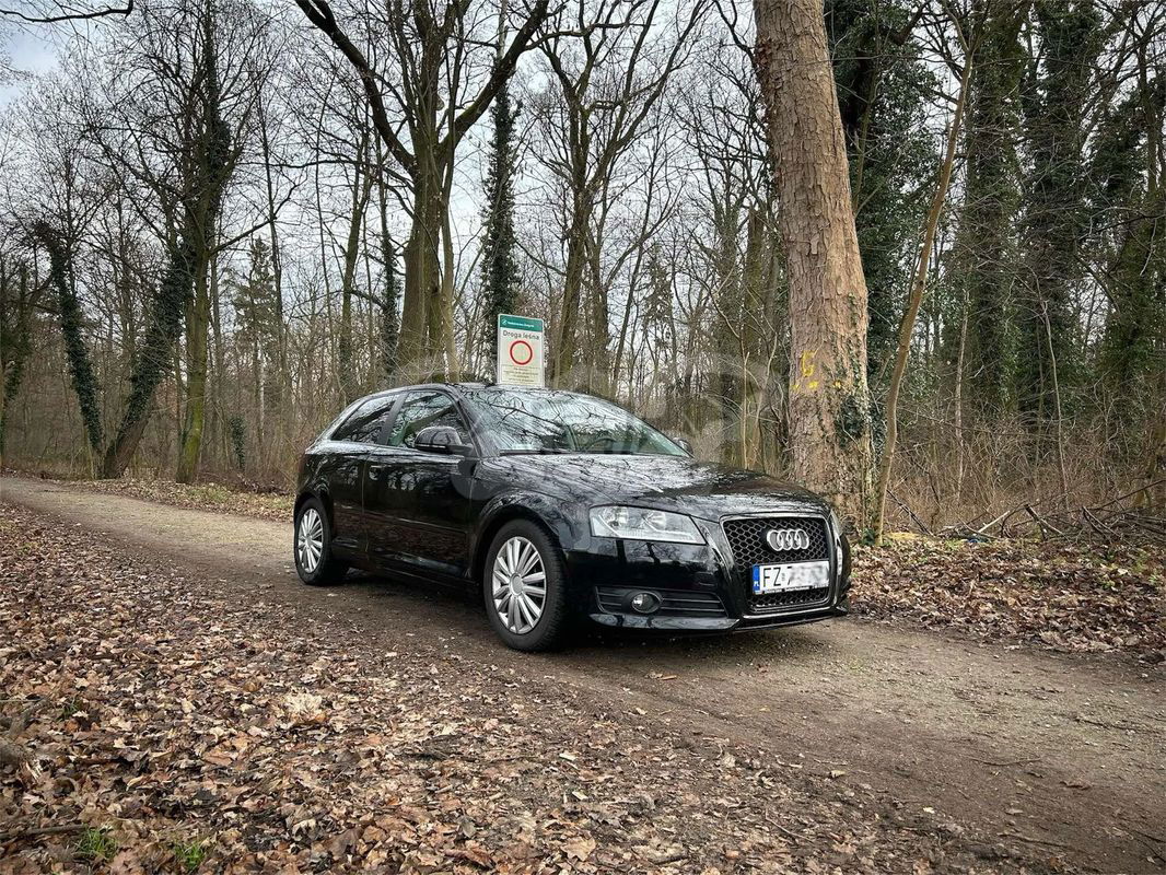 Audi A3 8P 1.6 Attraction 2009