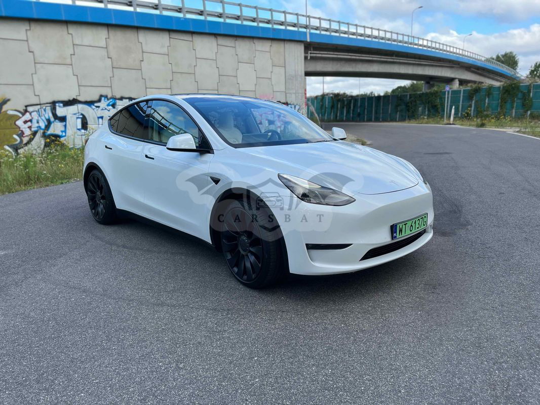 Tesla Model Y Model Performance Dual Motor AWD 2020