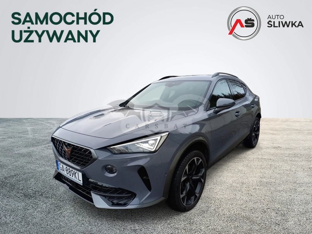 Cupra Formentor 2.0 TSI 4Drive DSG 2023