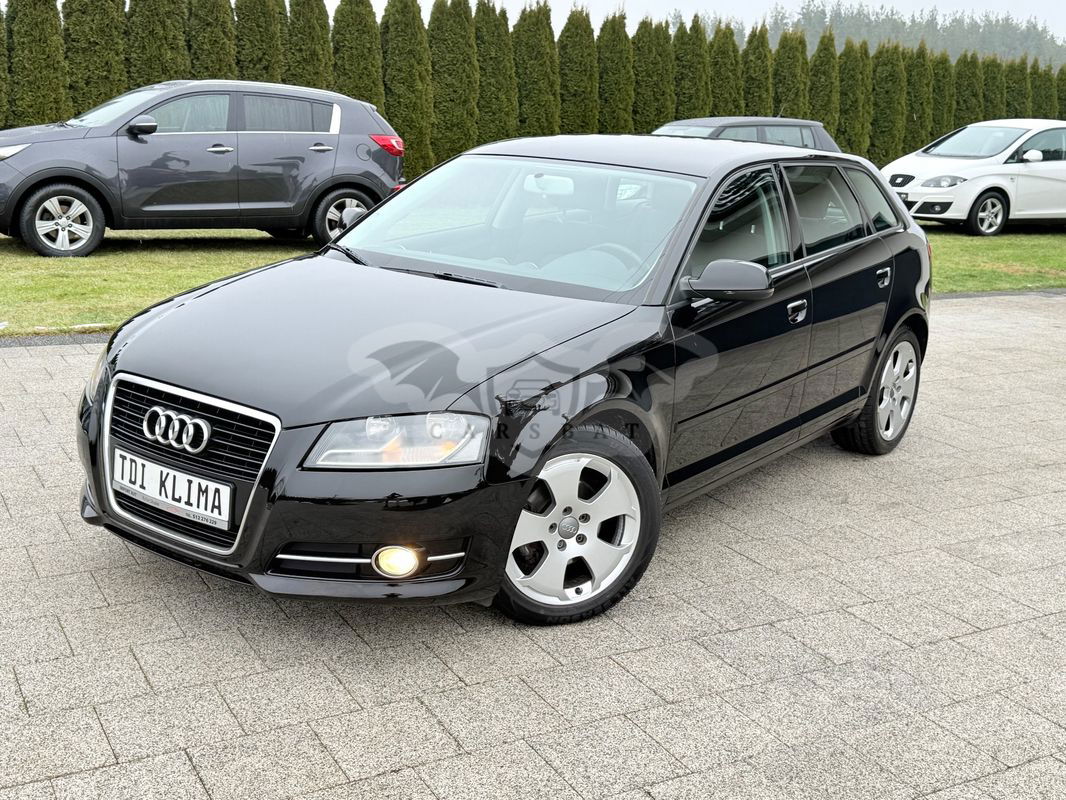 Audi A3 8P 2.0 TDI DPF Attraction 2010
