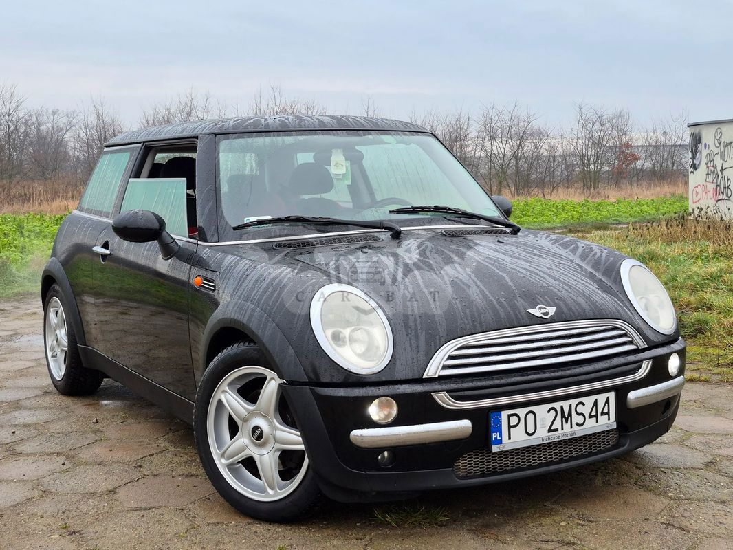 Mini Cooper pepper 2002