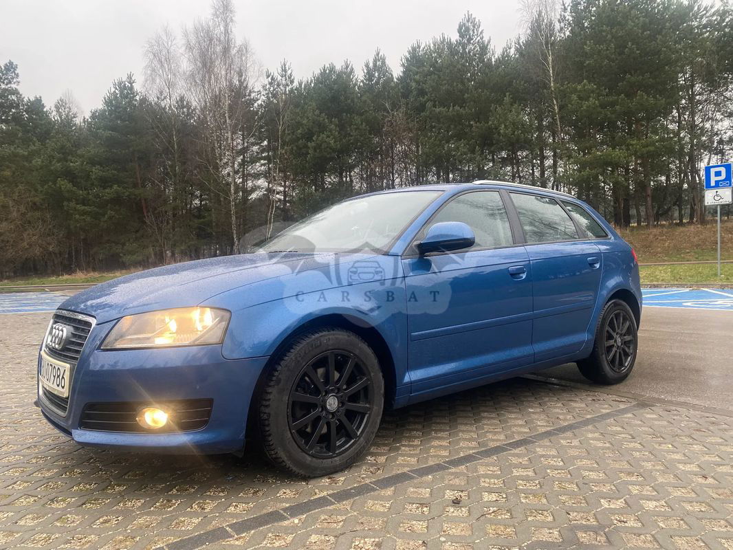 Audi A3 8P 2.0 TDI DPF Ambition 2010
