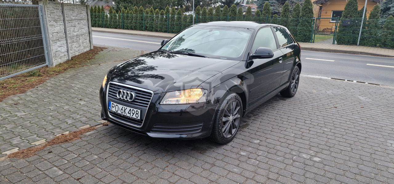 Audi A3 8P 1.6 Ambiente 2009