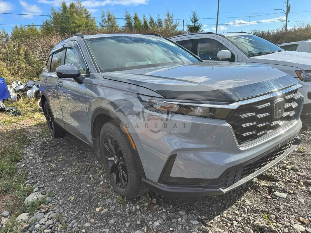 Honda CR-V V 1.5T 4WD CVT Executive 2023